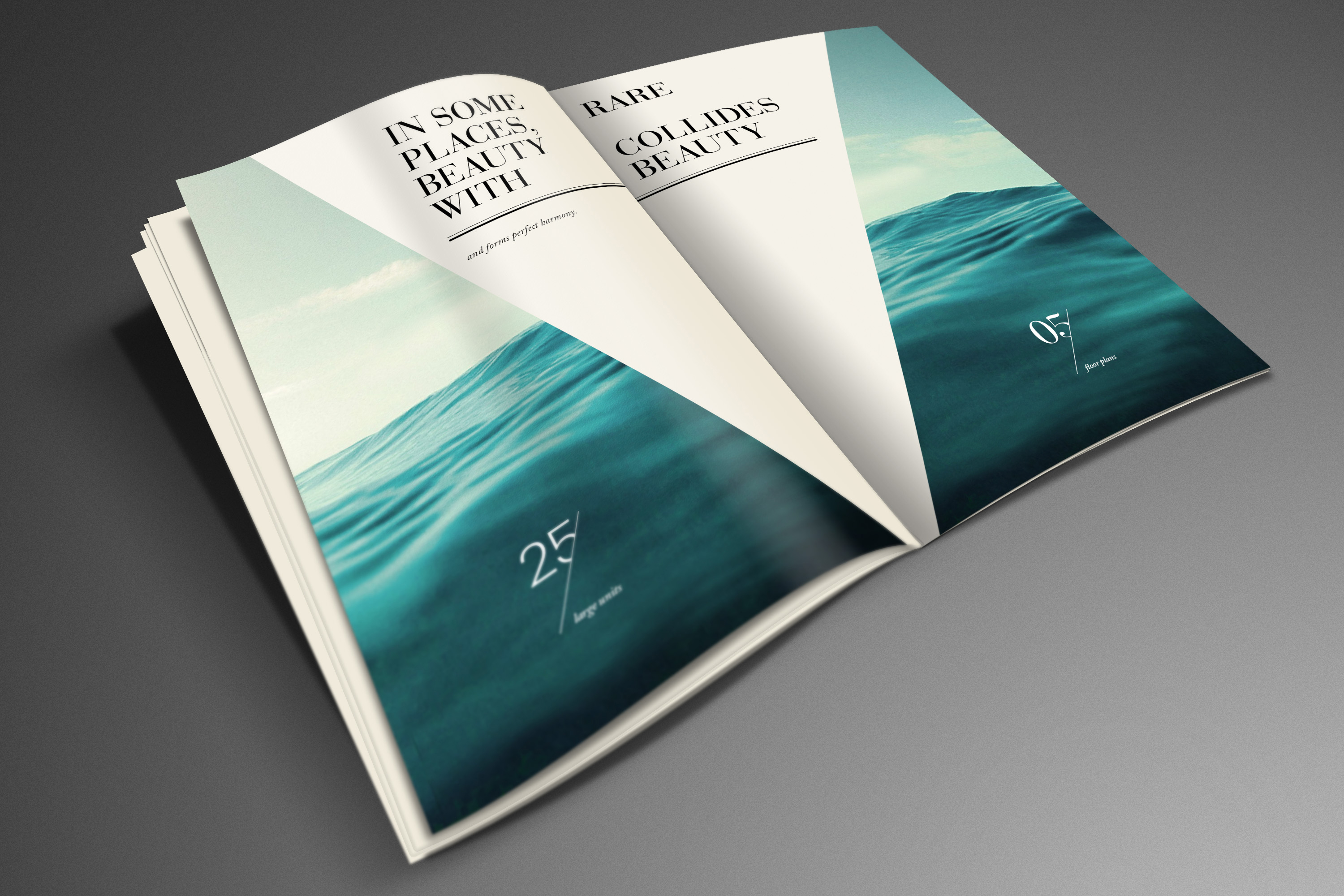 2016 Brochure