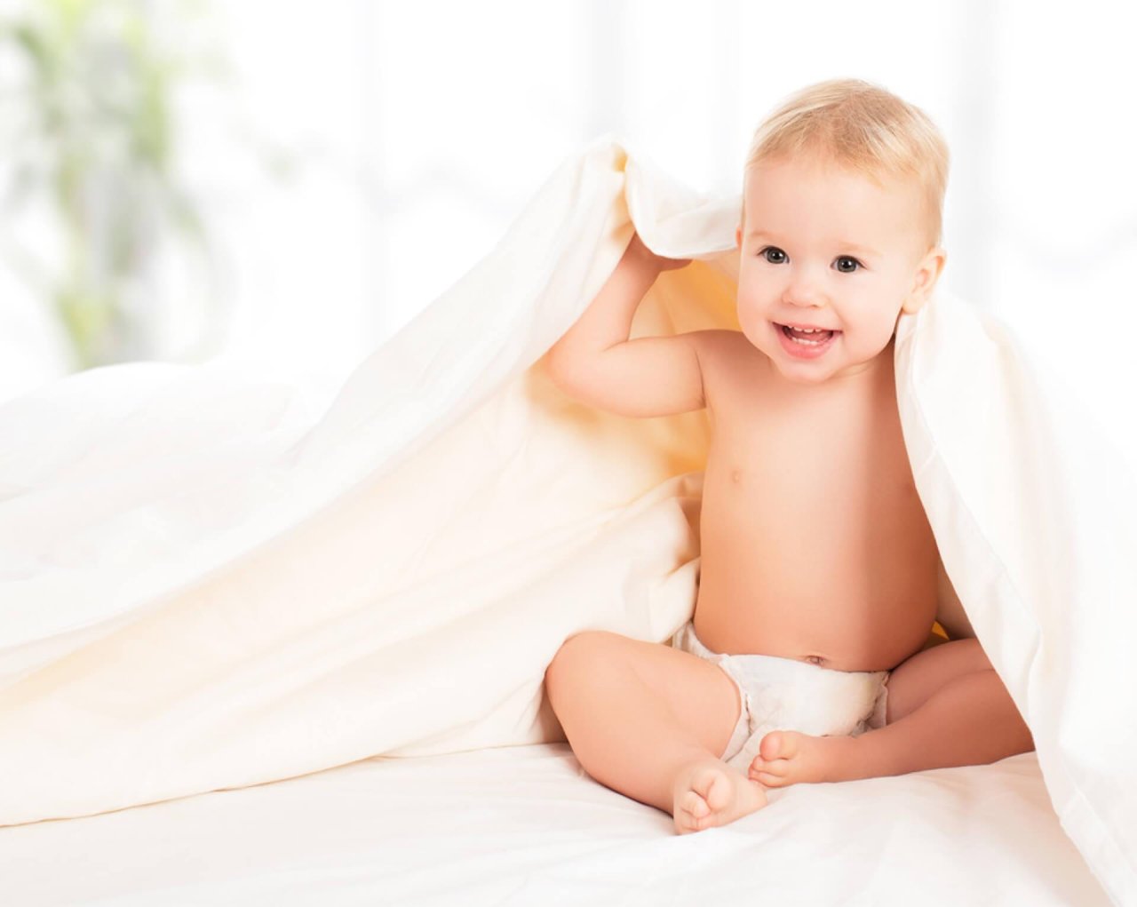 Baby Collection